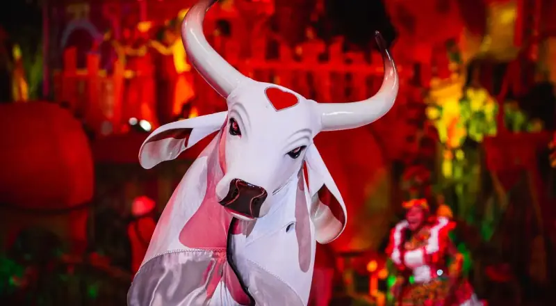 Boi Garantido inicia o lançamento das toadas para encantar fãs