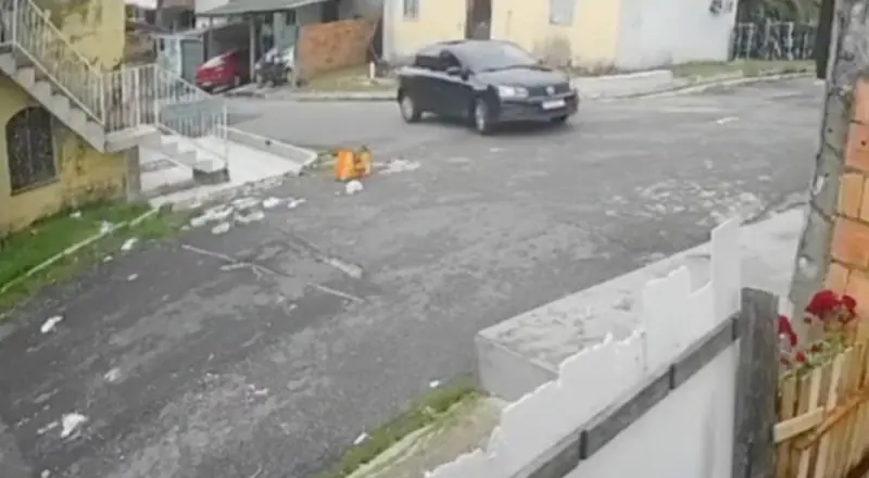 Vídeo de atropelamento de cachorro gera revolta e investigações em Manaus