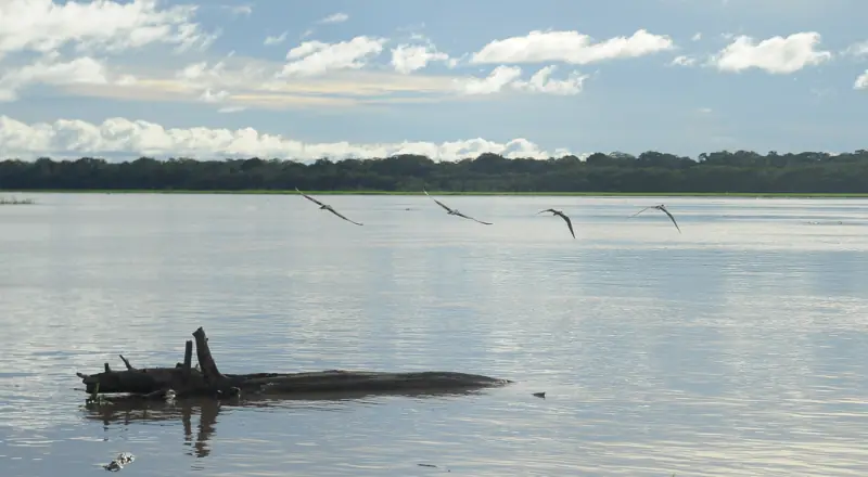 MP do Amazonas fiscaliza ações preventivas contra cheias em Anamã