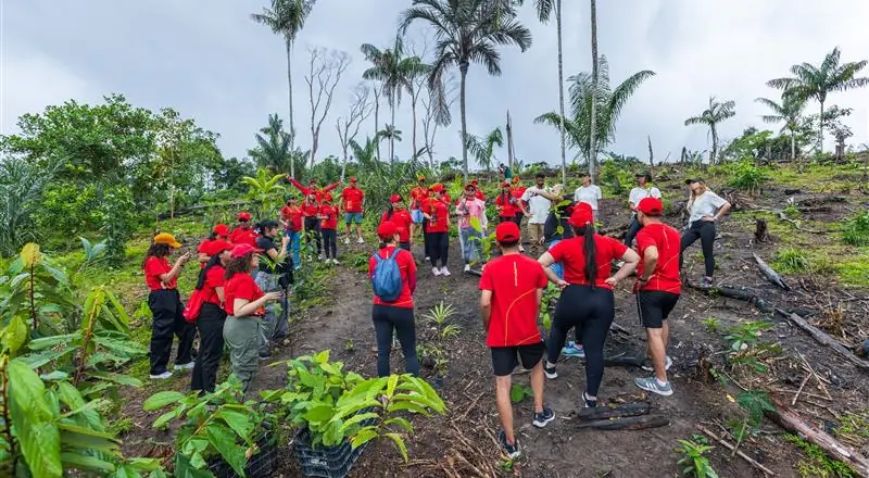 Ação do Grupo Atem no Puraquequara promove reflorestamento sustentável