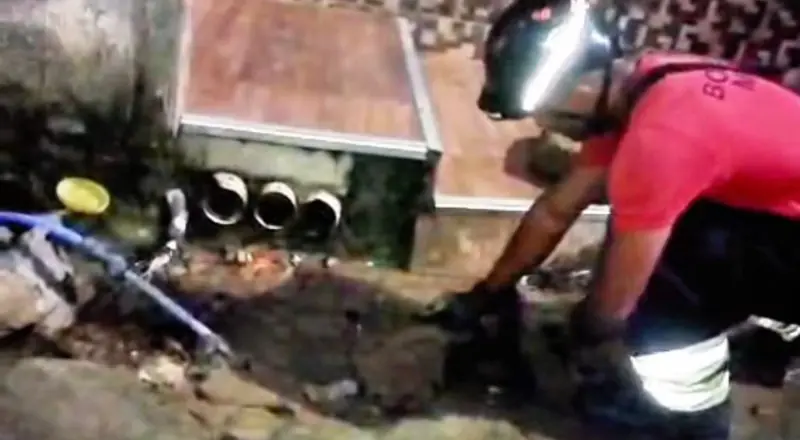 Sucuri gigante é encontrada em frente a casa em Manaus