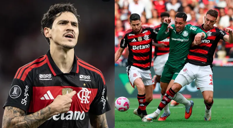 Flamengo se classifica e Palmeiras perde: análises dos jogos