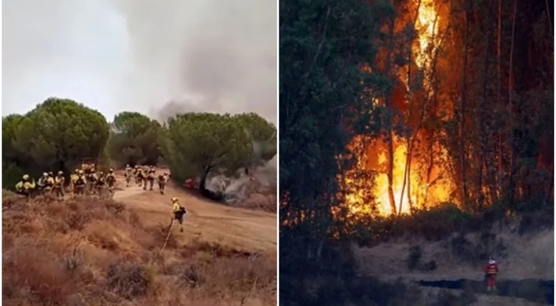 Incêndio florestal atinge 4 mil hectares e mobiliza recursos essenciais
